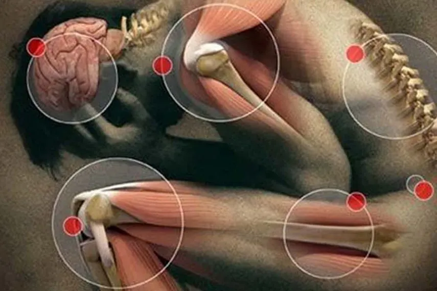 Ostex : σύνθεση μόνο φυσικά συστατικά.